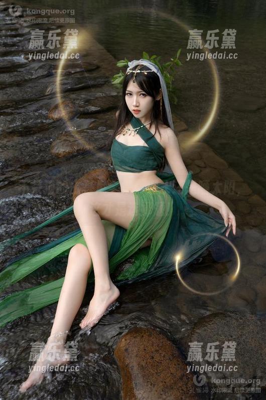 不呆猫的比基尼全集：潜水还是晒太阳，这才是选择题！