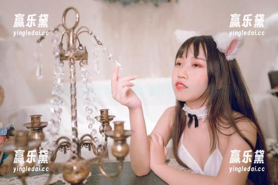不呆猫 不呆猫的天使写真全集,手里拿着猫草,神奇的两者结合!