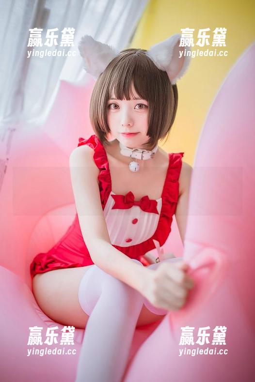 小野妹子w 小野妹子w定制,路人女主的自我修养之路
