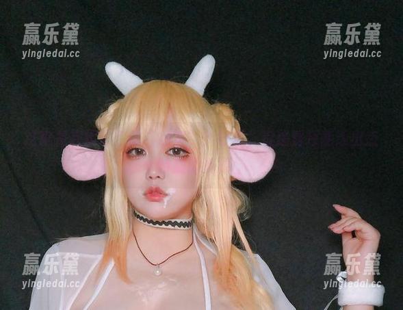 这就是椒妮佐仁的“加贺”？好吧，没想到还能透出点特别的资源。